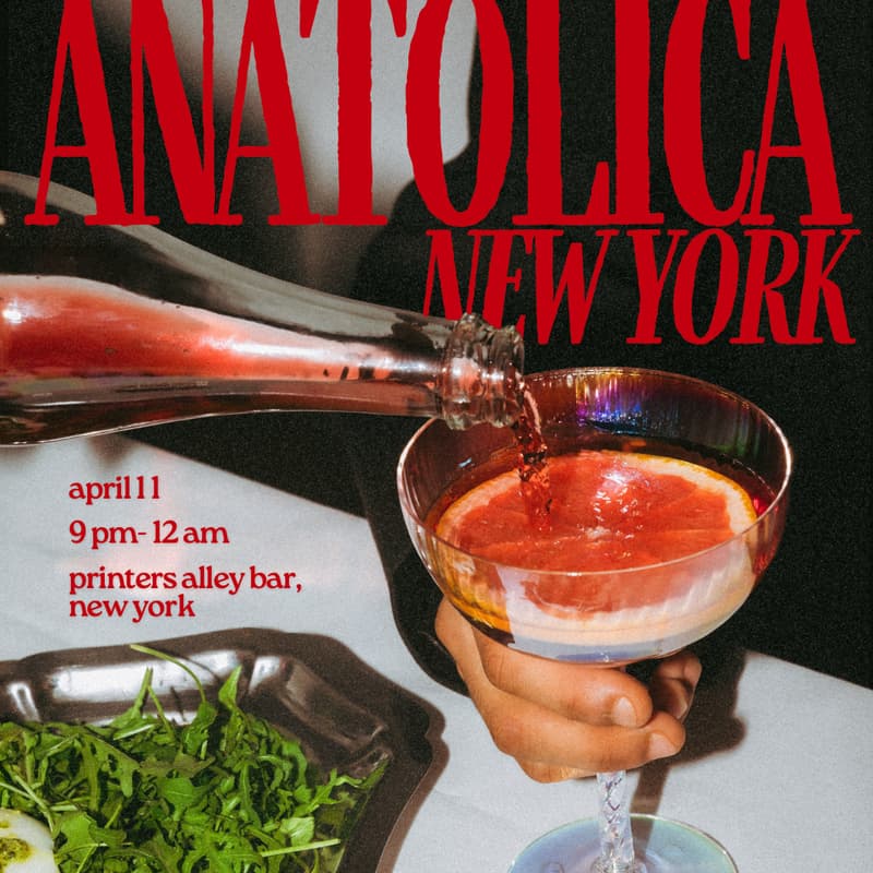 Cover Image for NYC Anatolica After Party