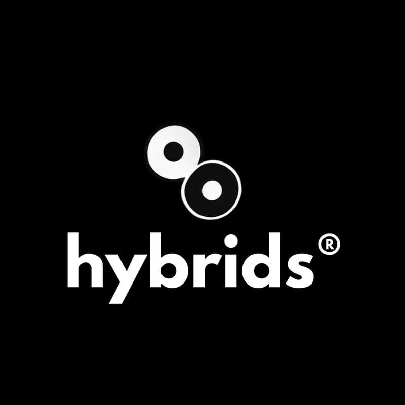 Cover Image for hybrids Morning Run @Schlachtensee