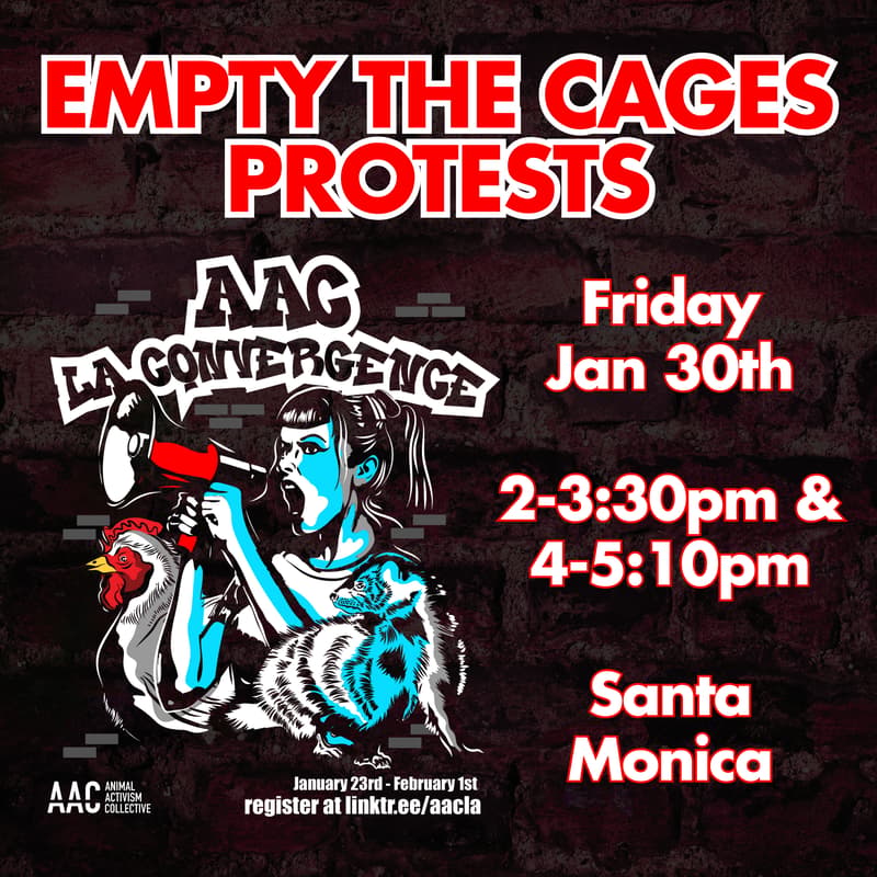 Cover Image for 2PM Empty the Cages - LA Convergence Protest