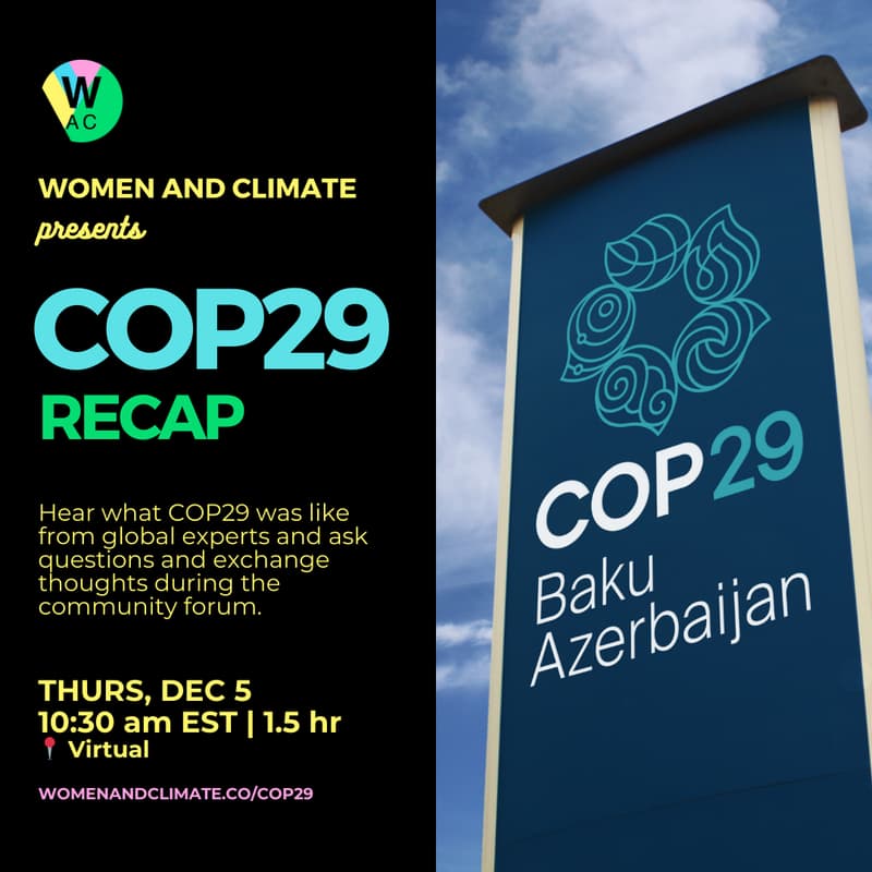 Cover Image for COP29 Recap