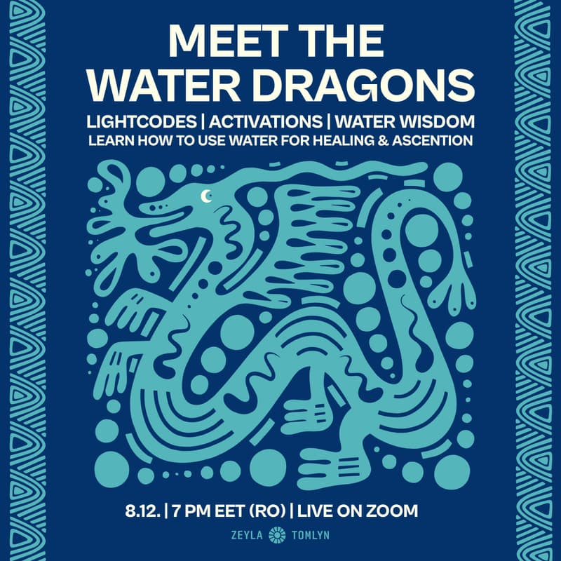 Cover Image for MEET THE WATER DRAGONS