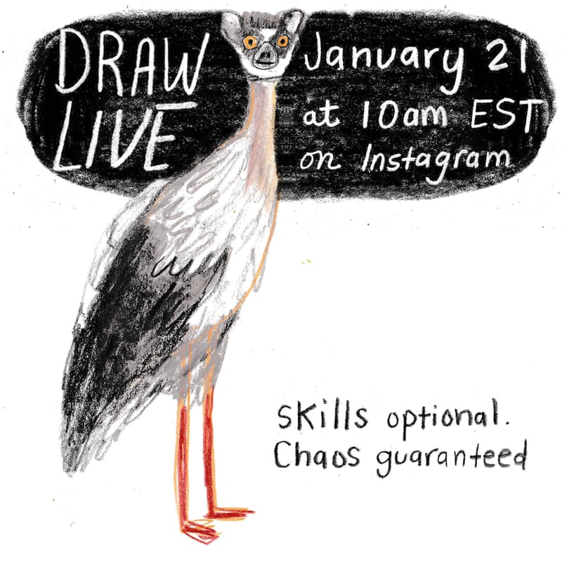 Cover Image for Let Loose Animal Mix-ups on Instagram Live