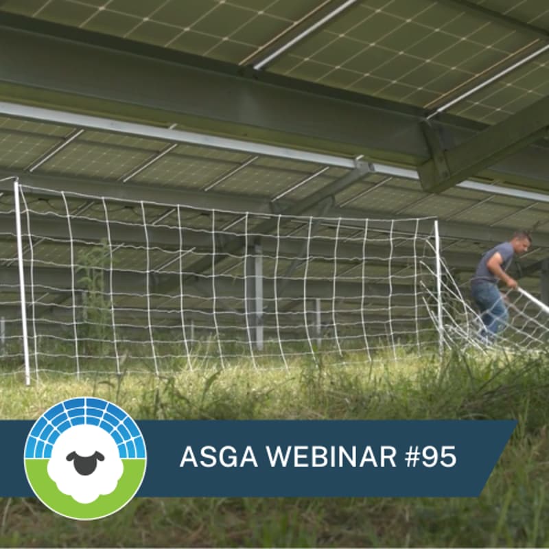 Cover Image for ASGA Call 95 - Grounded: Fencing Solutions for Solar Grazing