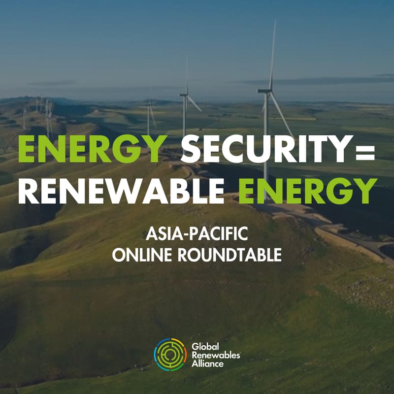 Cover Image for Beating Fossil Price Shocks: Corporate Renewable Sourcing in Asia-Pacific