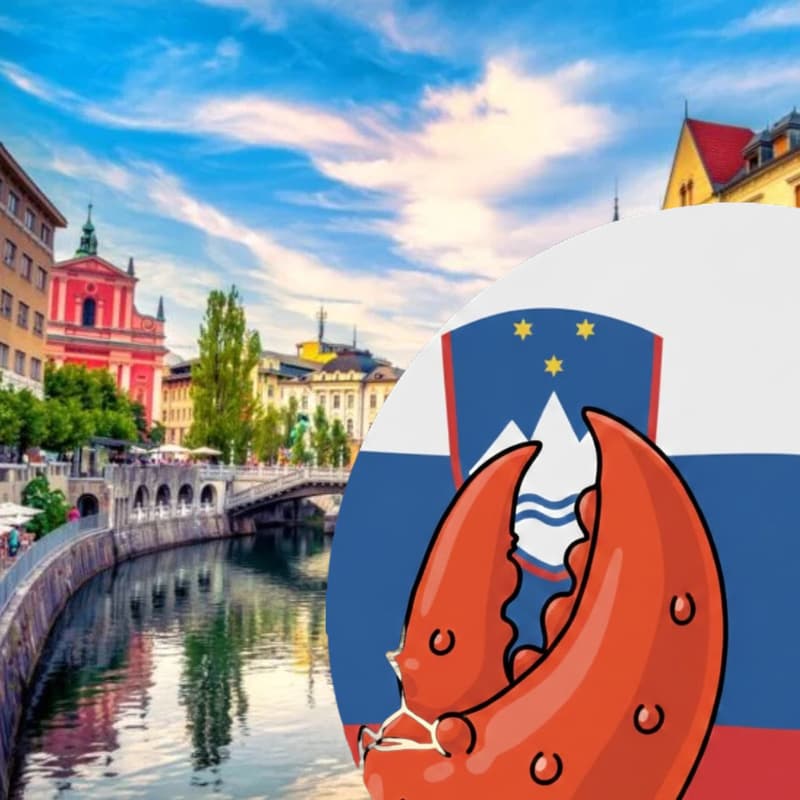 Cover Image for OpenClaw Slovenia Meetup