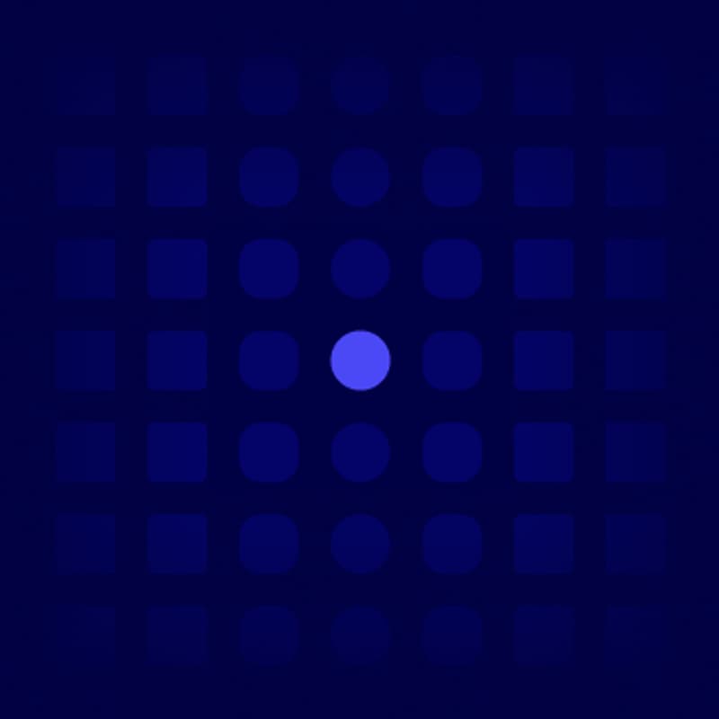 Cover Image for Nature Data & Dumplings | Cecil Meetup