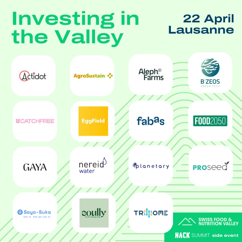 Cover Image for Investing in the Valley