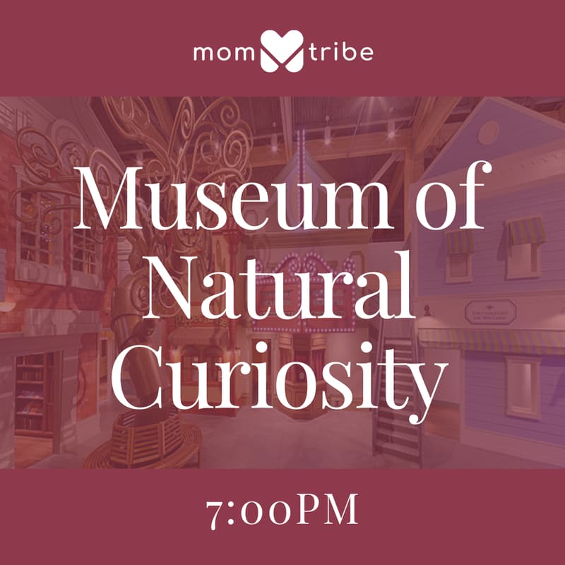 Cover Image for Thanksgiving point: Museum of Natural Curiosity