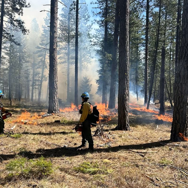 Cover Image for Mt. Adams PBA Learn & Burn Workshop 2025