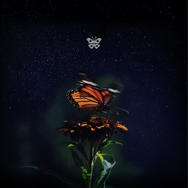 Cover Image for Reve ICCV Social