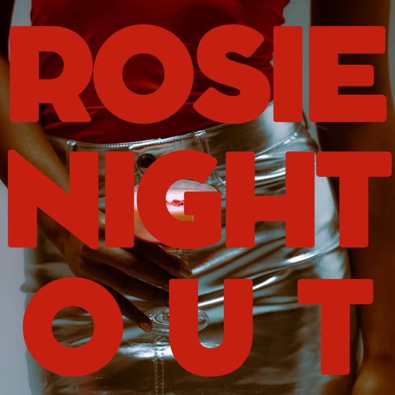Cover Image for Rosie Pro's Night Out