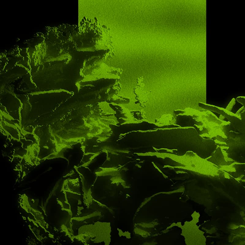 Cover Image for Meditation for the City by August Shells