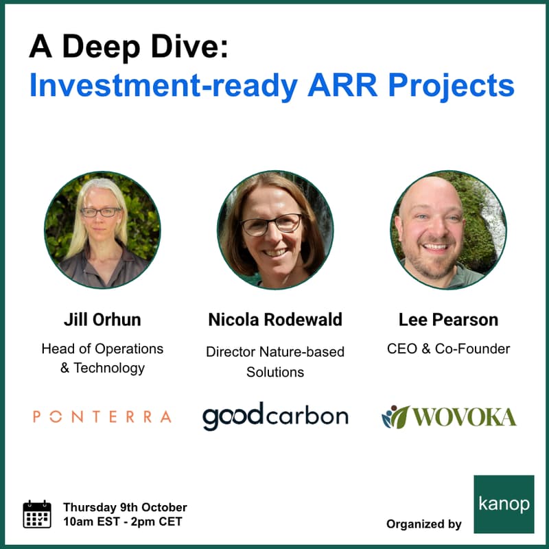 Cover Image for A Deep Dive: Investment-Ready ARR Projects