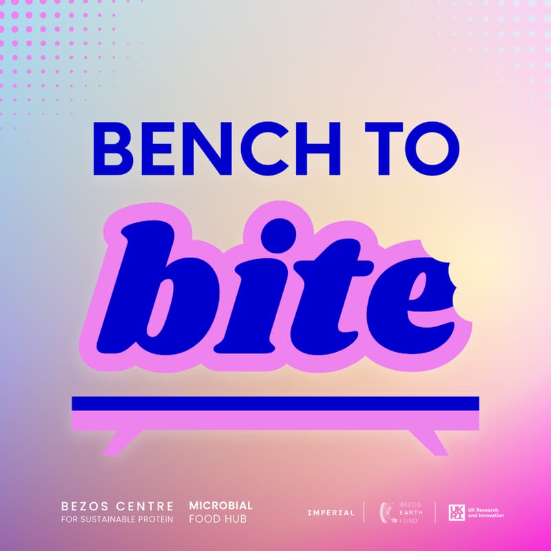 Cover Image for Food Community Collider - Bench to Bite! by the Bezos Centre for Sustainable Protein and Microbial Food Hub