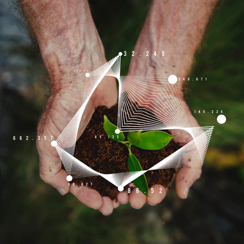 Cover Image for Using Open-Source Tools to Simplify Management of Farm Data