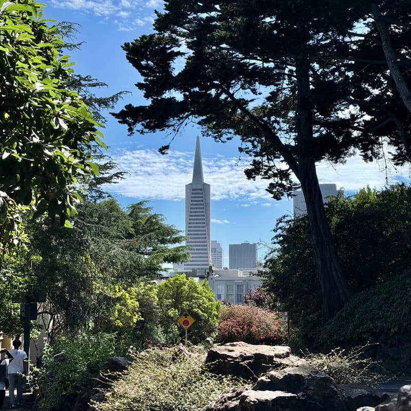 Cover Image for San Francisco Idealists