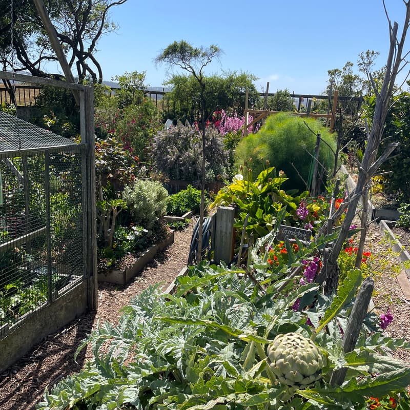 Cover Image for An Evening at the Farm: Sunday Off-Grid Gathering