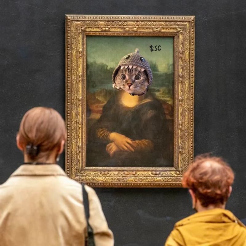 Cover Image for Shark Cat Gallery Party