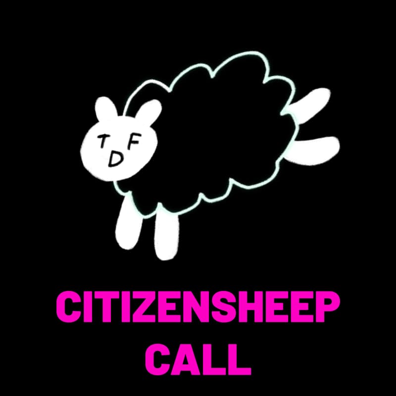 Cover Image for TDF Citizen Call Q2