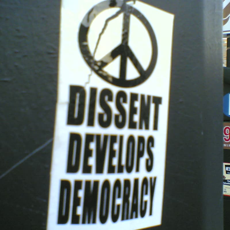 Cover Image for Dissent Collusion
