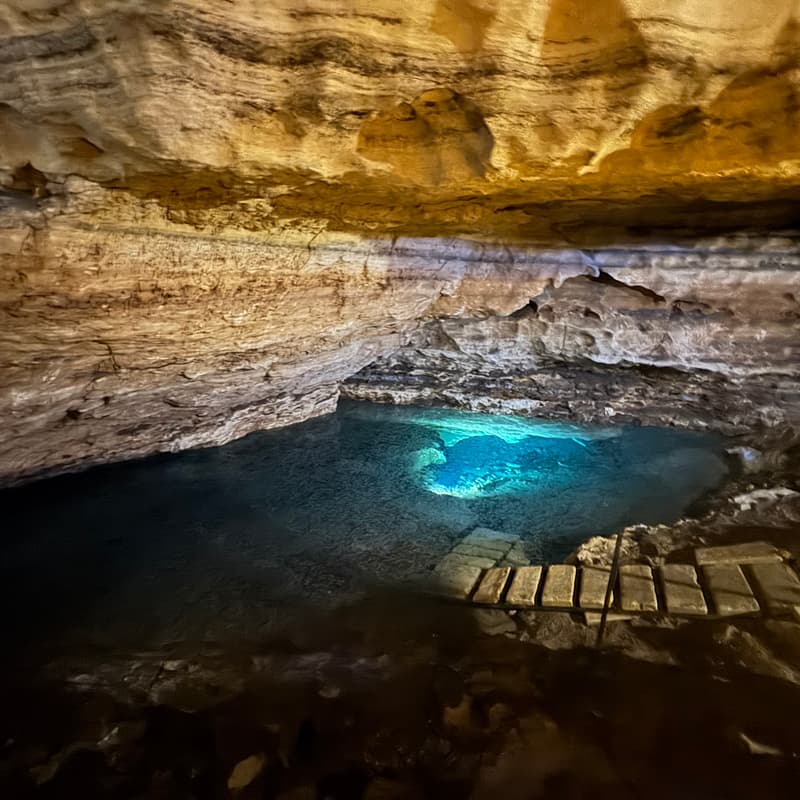 Cover Image for Adelaide Lawyers Christian Fellowship - AGM (Hybrid)