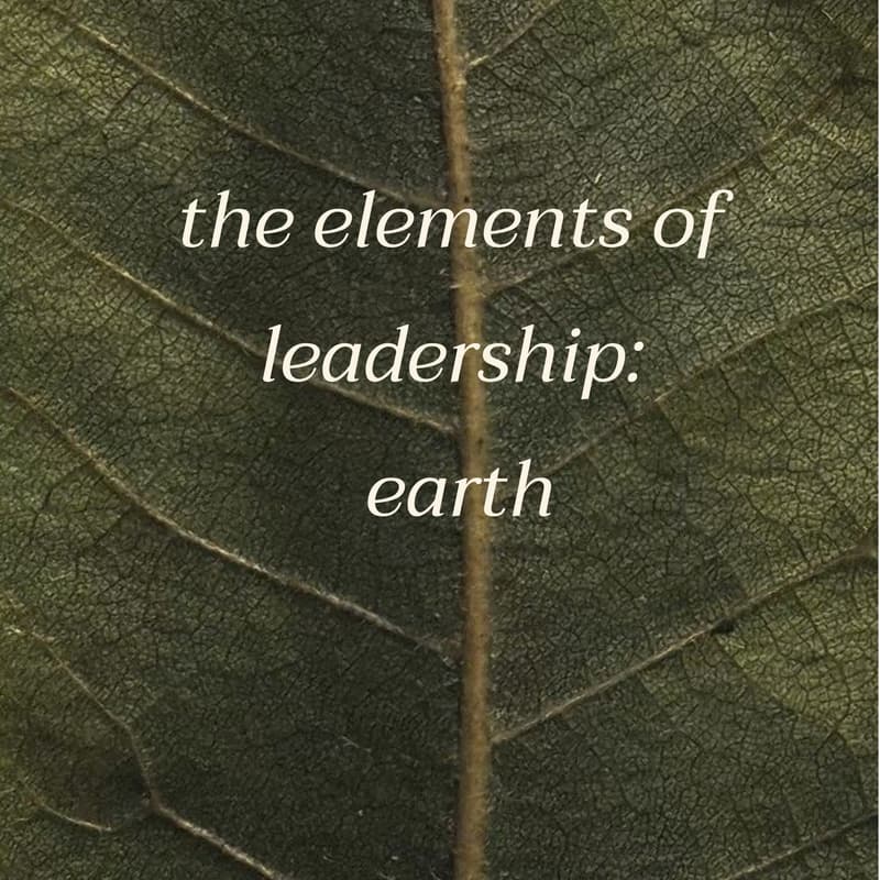 Cover Image for the elements of leadership: earth
