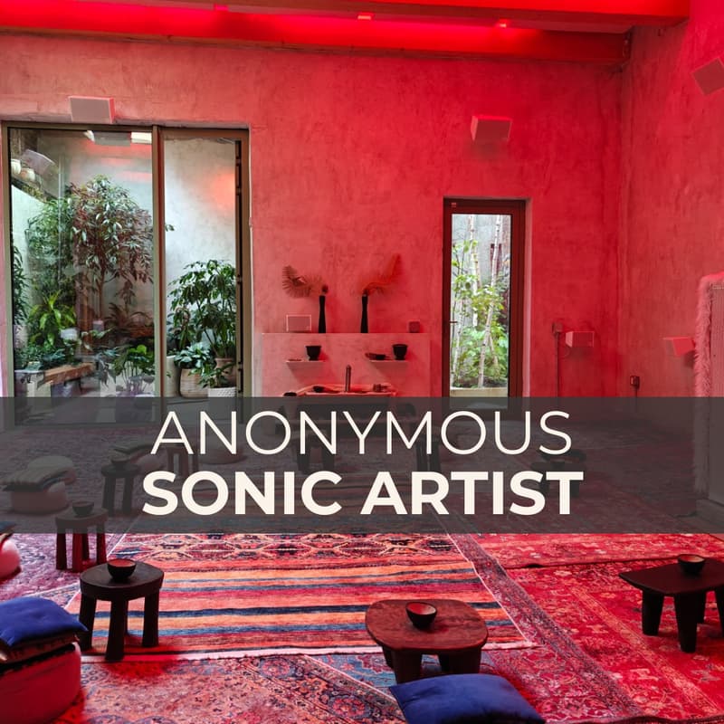 Cover Image for Anonymous Sonic Artist Creates - Open Studio