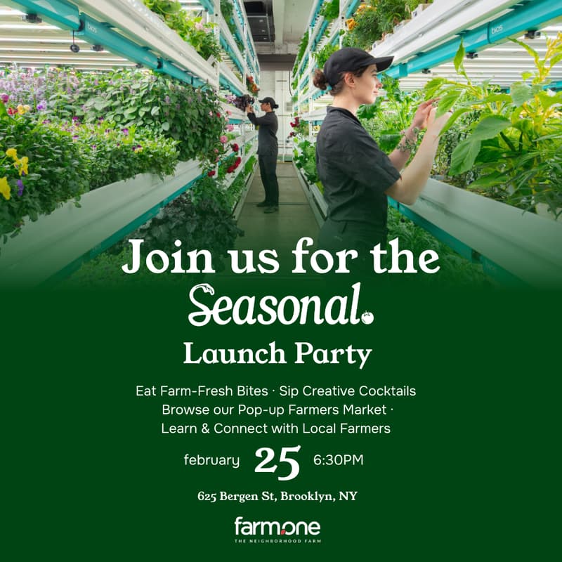 Cover Image for Seasonal Launch Party