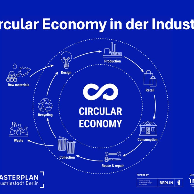 Cover Image for What‘s next, Circular Economy? - Regulierung, Kompetenzen und Zukunftsszenarien für eine zirkuläre Industrie