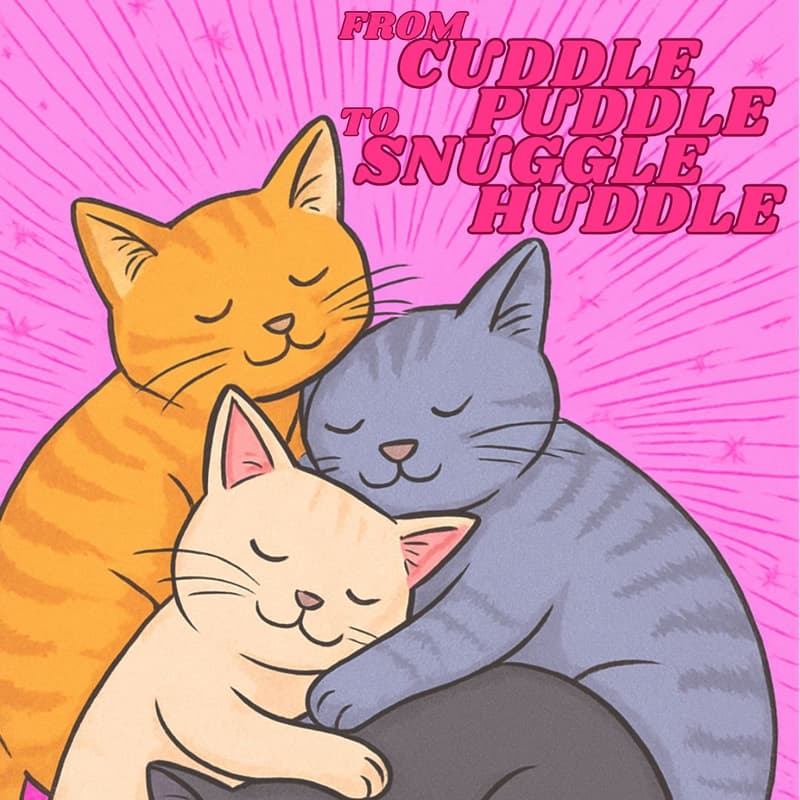 Cover Image for TANGLE MINGLE: SNUGGLE HUDDLE for repeaters