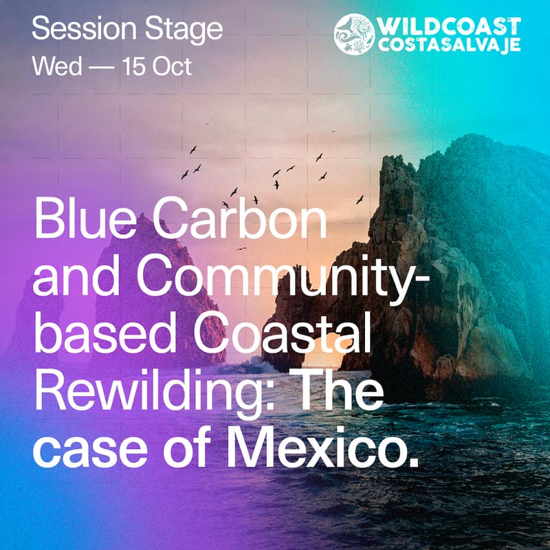 Cover Image for Blue Carbon and Community-based Coastal Rewilding: The case of Mexico.