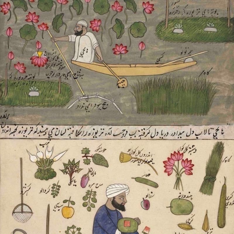 Cover Image for 13 Bedar 🌷