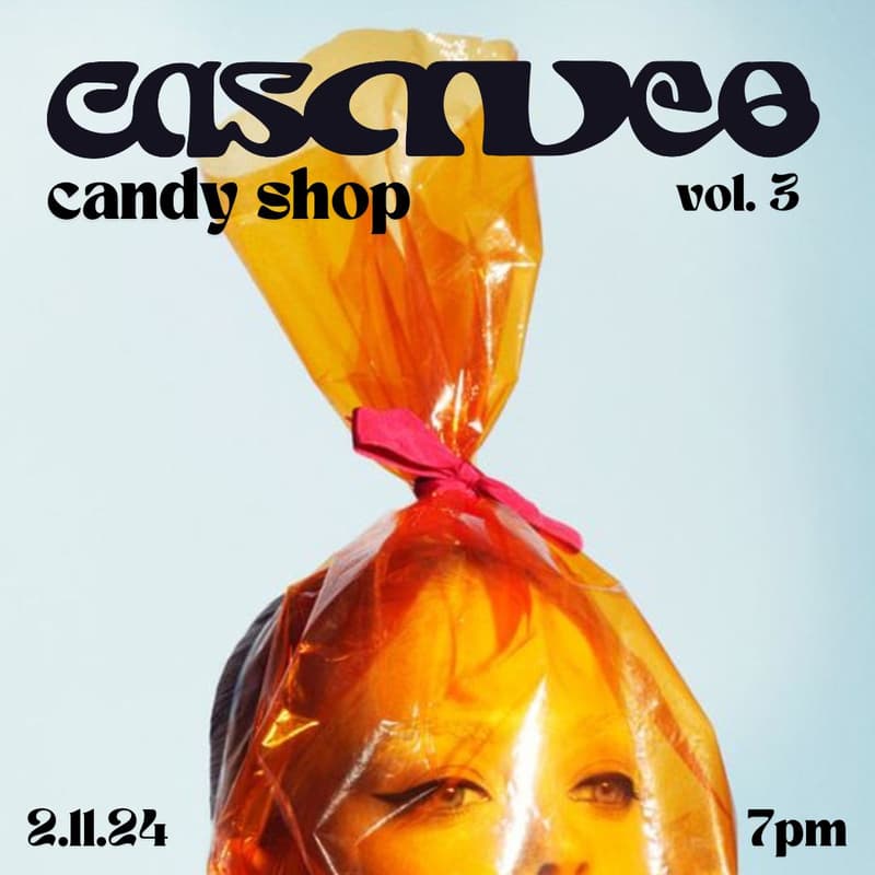 Cover Image for CASAVEO, Vol. 3