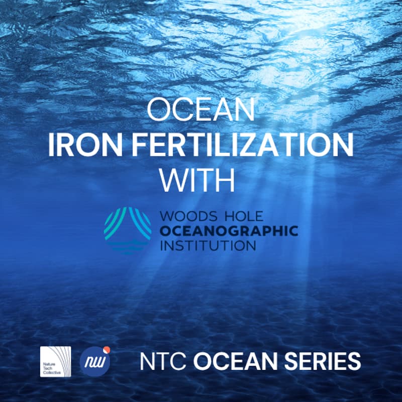 Cover Image for Ocean Iron Fertilization with WHOI