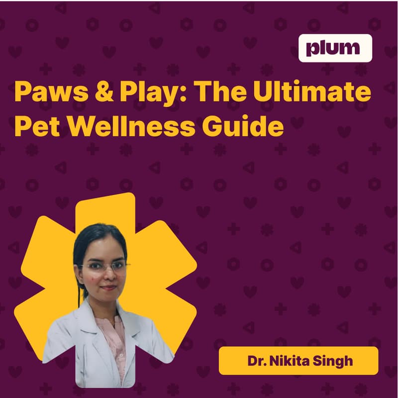 Cover Image for Paws & Play: The Ultimate Pet Wellness Guide