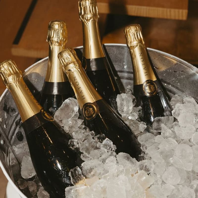 Cover Image for ABUNDANCE: a new year's celebration with soft(spaces) π₯