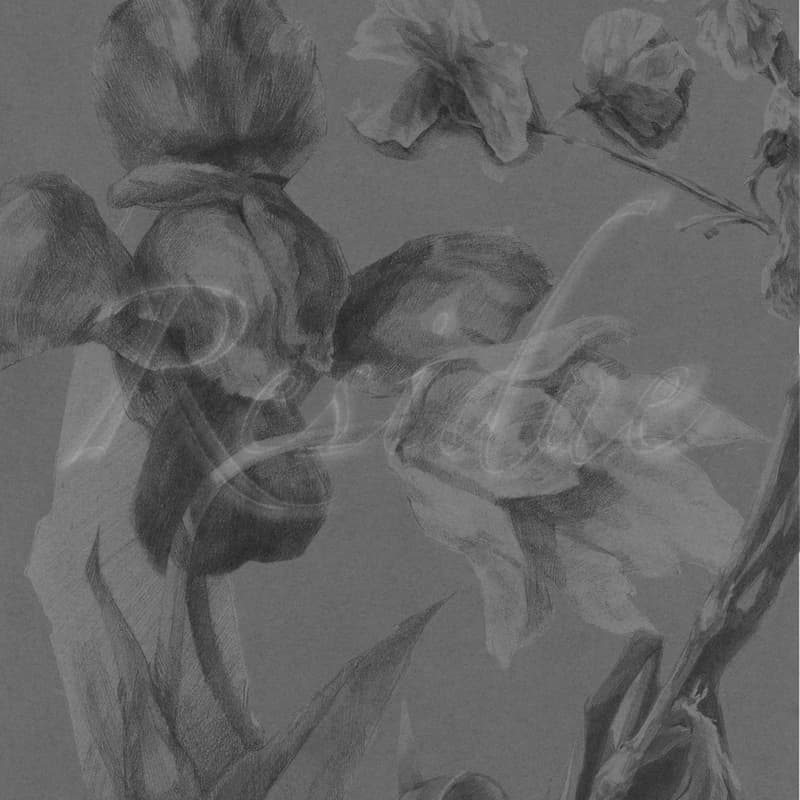 Cover Image for Residue Opening Performance Night x Kunstbar