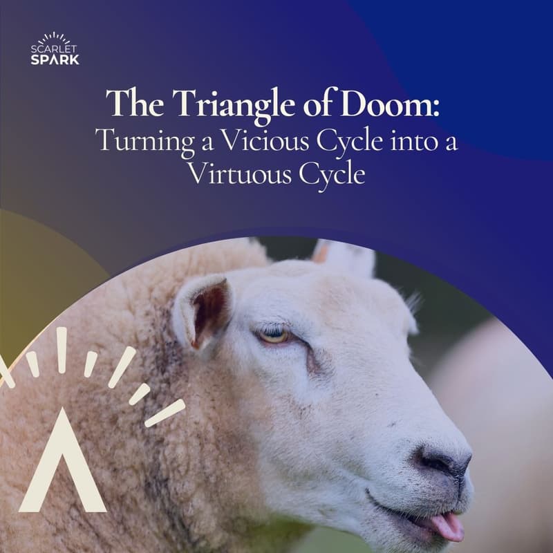 Cover Image for The Triangle of Doom: Turning a Vicious Cycle into a Virtuous Cycle