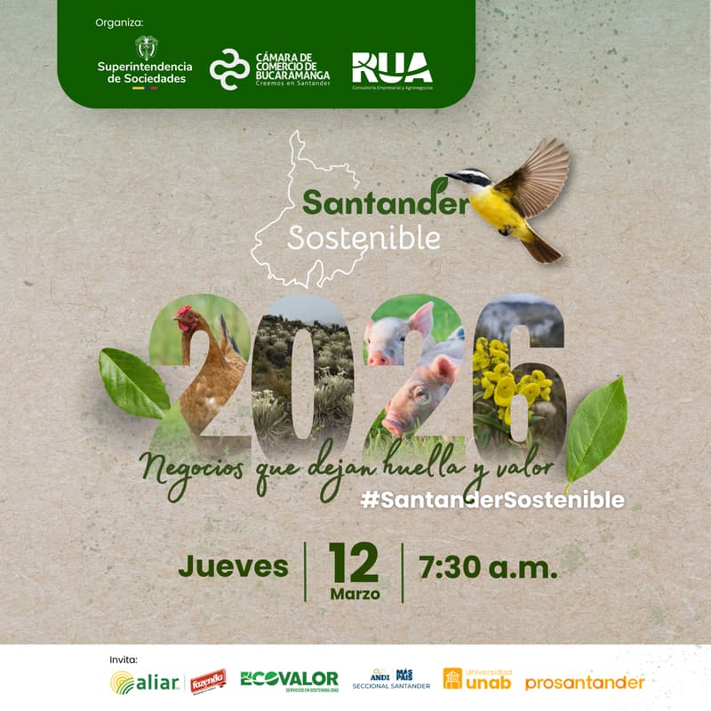 Cover Image for Santander Sostenible 2026: Negocios que dejan huella y valor