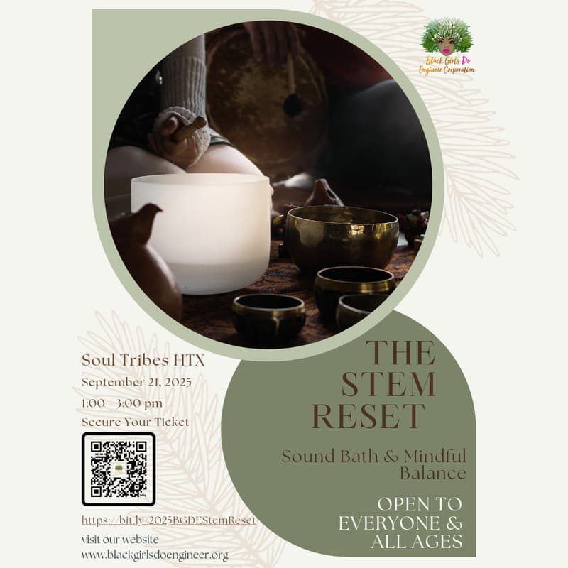 Cover Image for The STEM Reset