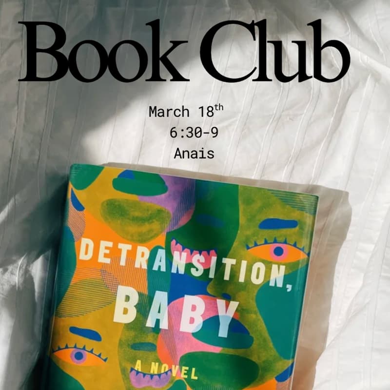 Cover Image for Book Club: DeTransition Baby by Torrey Peters
