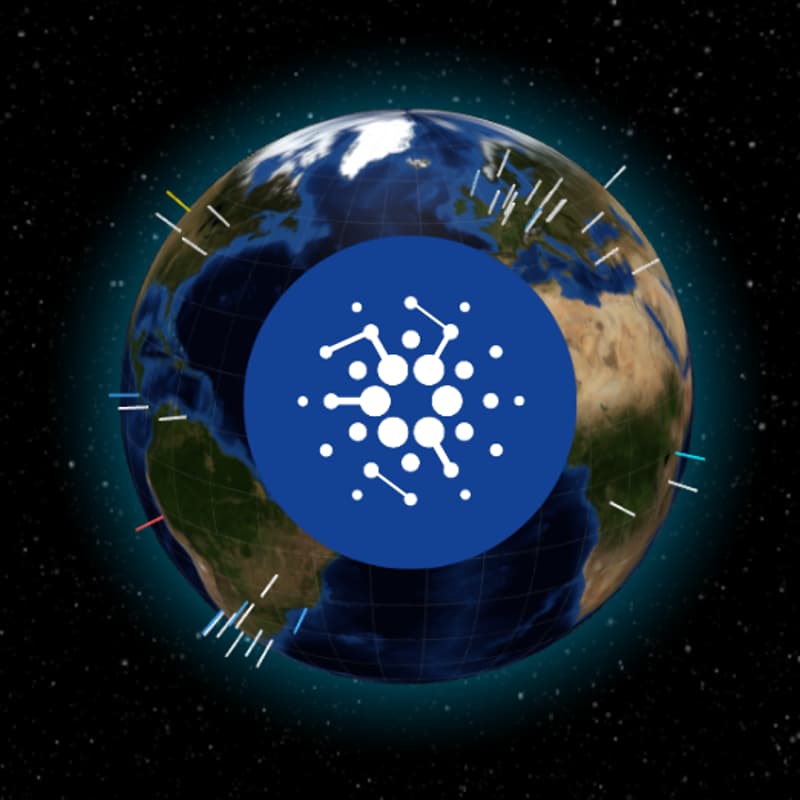 Cover Image for 45B GRIT: Cardano Grassroots in touch