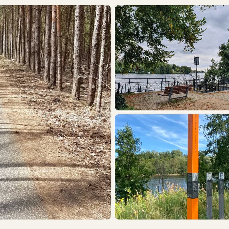 Cover Image for Neurospicy Hike / Focus Warriors / ADHD / Neurodivergent