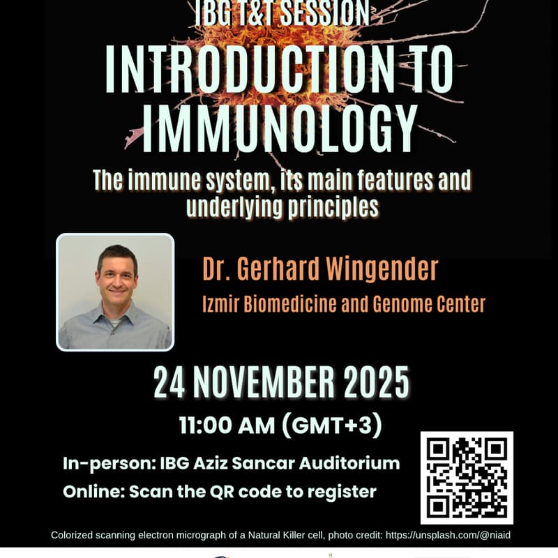 Cover Image for Introduction to immunology by Dr. Gerhard Wingender
