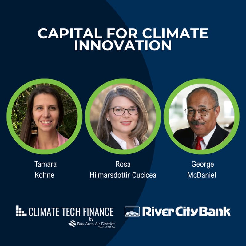 Cover Image for Perspectives | Capital for Climate Innovation