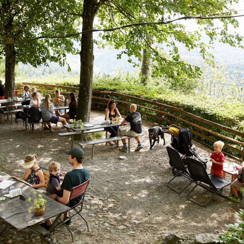 Cover Image for Aufwärts Zürich