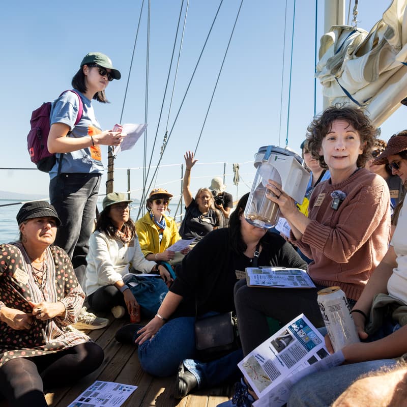 Cover Image for Textile x Ocean Connector Sail