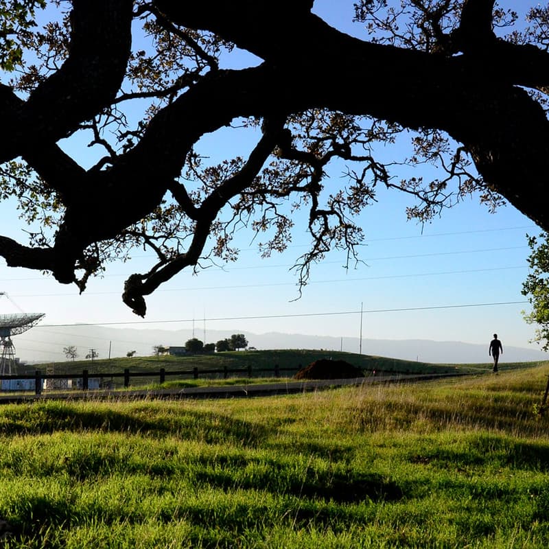 Cover Image for AI builder hiking @ Stanford Dish