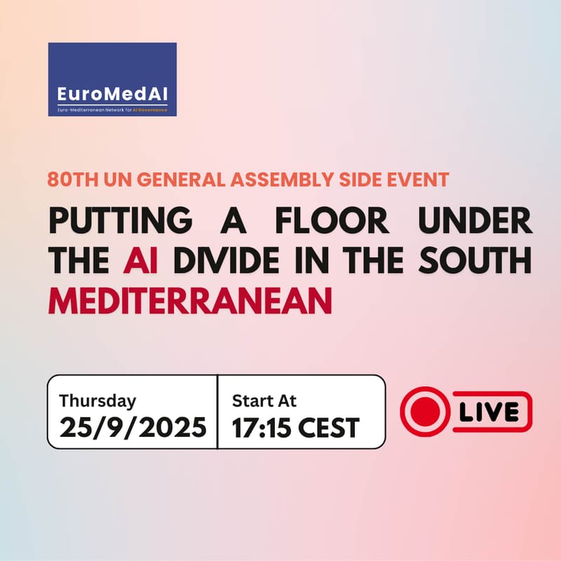 Cover Image for Putting a Floor Under the AI Divide in the South Mediterranean
