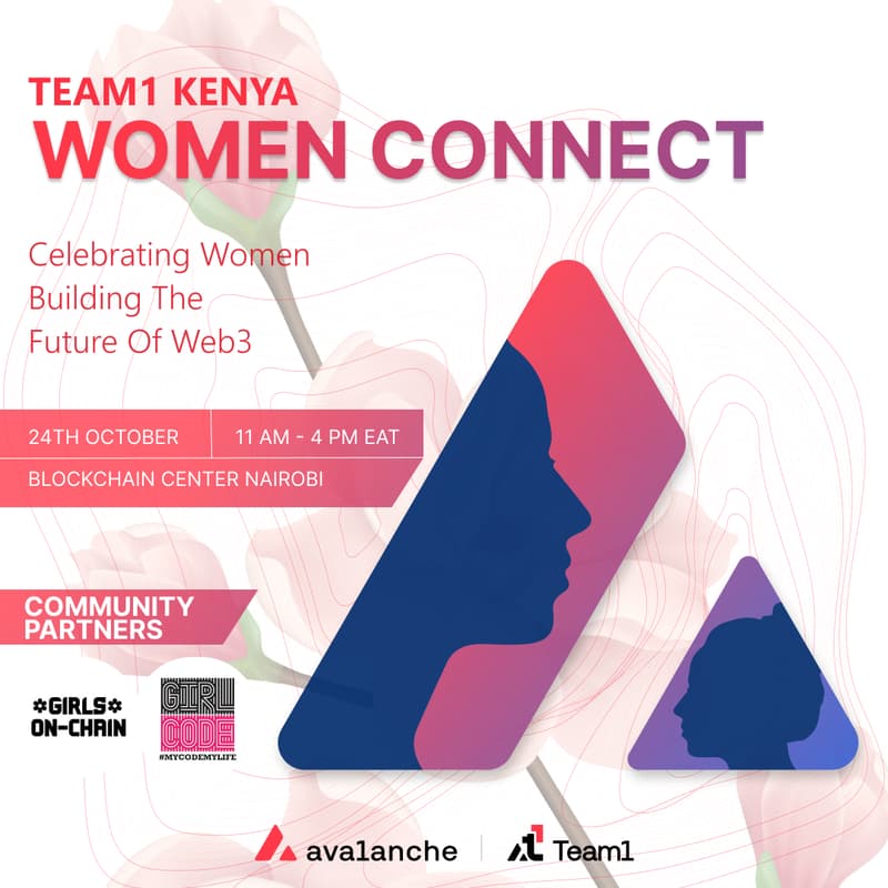 Cover Image for Team1 Women Connect